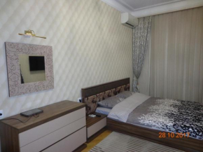 Central Prospect Baku 2 bedrooms